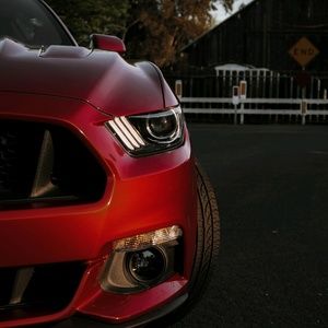 Meet your Posher, Armando